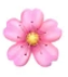 fleur rose